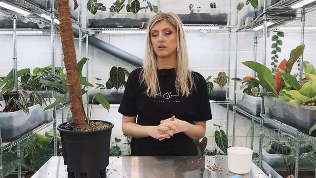 What I've been dealing with... | Repot with me смотреть онлайн