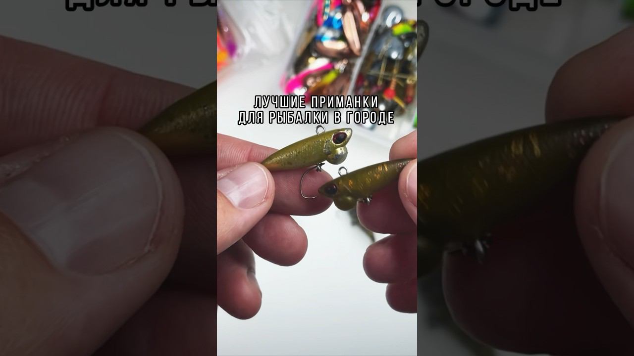 Показываю на что ловлю в городе ☝️ #рыбалка #спиннинг #fishing #shorts #воблеры #стритфишинг смотреть онлайн