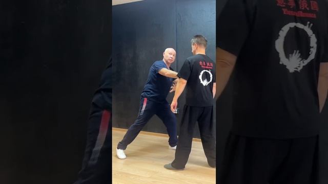 Ицюань / Вход с применением Фуань Цзо-Ю / Санкт-Петербург (ноябрь 2023)