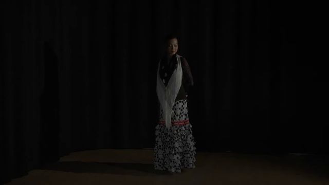 Kyoko Terada - Flamenco Dancer смотреть онлайн