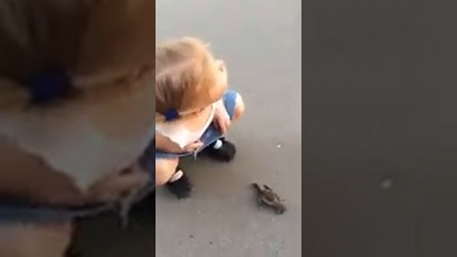 Если взять живую птицу,то она улетит,а если мертвую ...)) смотреть онлайн