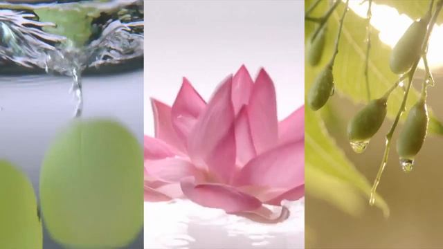 Trichup Arabic TV ad ALMUSK RU смотреть онлайн