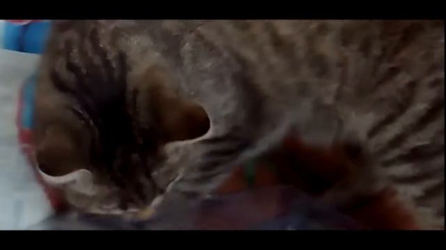 Сборная фигурка Халк (+кот) смотреть онлайн