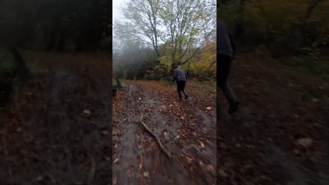 1 день  горной деревни .Quba Cici.#рекомендации #full #азербайджан #красота #repost #respect #short