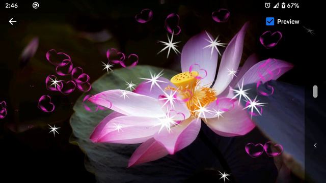 Lotus Live Wallpapers смотреть онлайн
