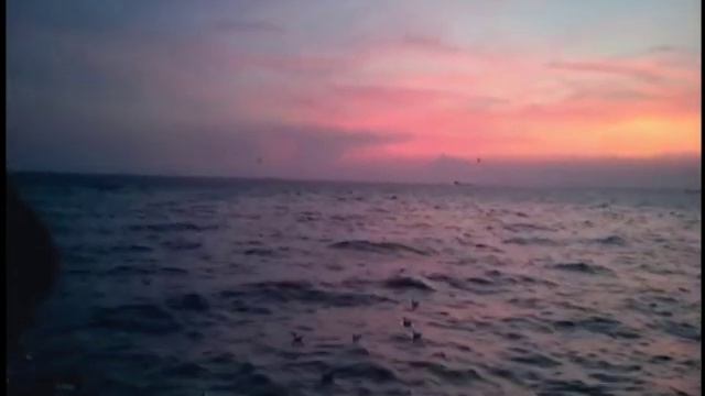 Grateful Dead - Cassidy - Live At The Worcester Centrum - 04/04/1987