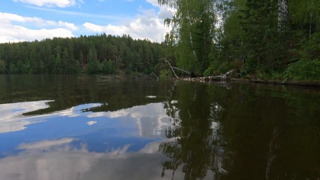 SUP прогулка 25км. Нижнетуринский пруд. Напугали утят, деревня чаек, павший лес. itiwit x500 вдвоем смотреть онлайн