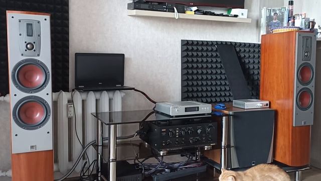 58 Dali Mentor 6 апгрейд мечты