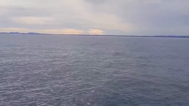 Они снимали океан но случилось то что можно увидеть только раз в жизни! Везёт же! смотреть онлайн