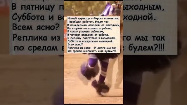 Анекдот. Прикол. Новый директор собирает коллектив. Прикольный график работы. Как работаем? Работа! смотреть онлайн