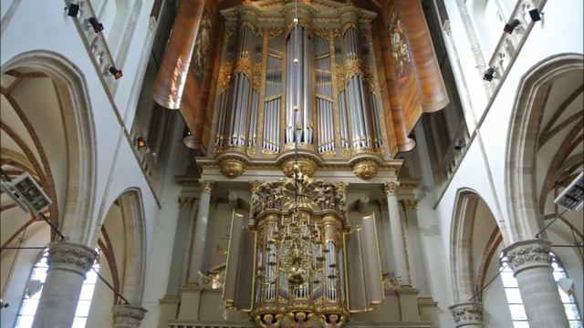 Georg Muffat (1653-1704). Toccata quinta from Apparatus Musico Organicus. Giovanna Riboli organist смотреть онлайн