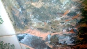 Перфоратор Зубр ЗПМ-40-1250 ЭВК