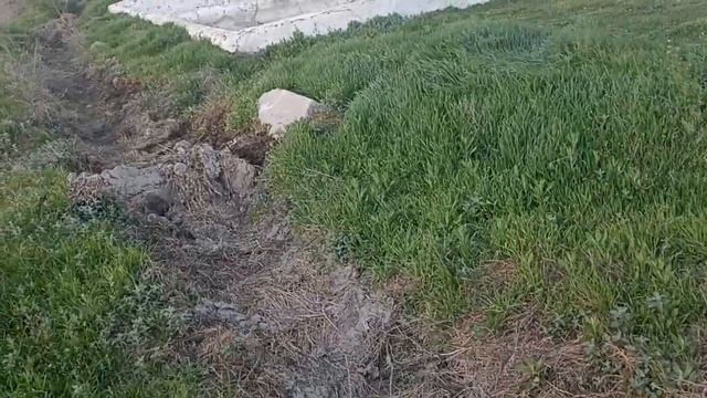 ШОШИЛИНЧ: 63° ИССИК 4-5-6-МАЙ ДИККАТ УЗГЕДРОМИД ОГОХЛАНТИРАДИ смотреть онлайн