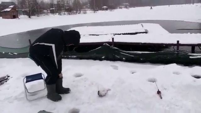 Светлые Горы Форель12 04.03.2023г. смотреть онлайн