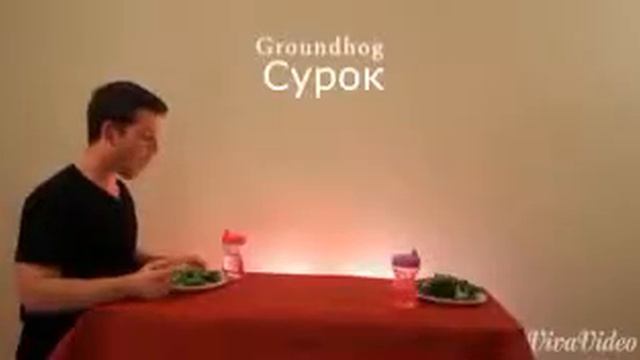 Как едят животные смотреть онлайн