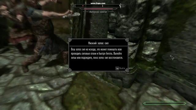 Skyrim Intel HD 3000 (i7-2760QM) test 2 смотреть онлайн