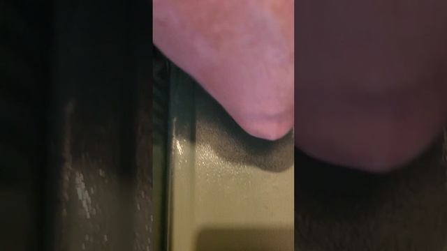 Stanley Lunch Box Peeling смотреть онлайн