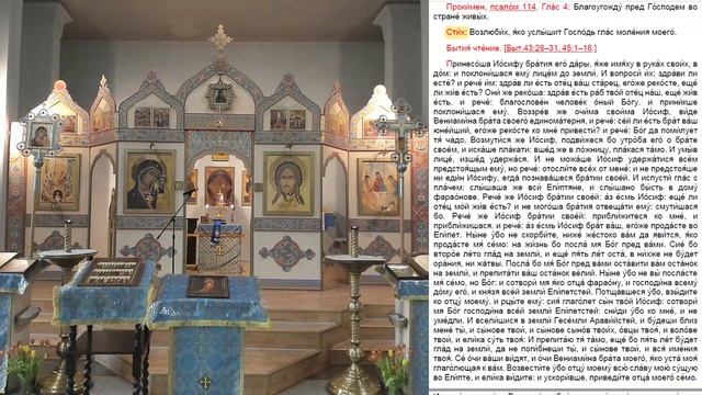 08.04.2020 Литургия Преждеосвященных Даров. Седмица 6-я Великого поста. смотреть онлайн