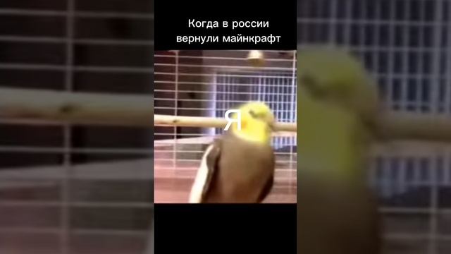 Когда в россии вернули майнкрафт смотреть онлайн