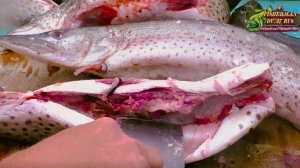 Три простых способа разделать щуку на филе, для жарки, котлеты или  шашлык.