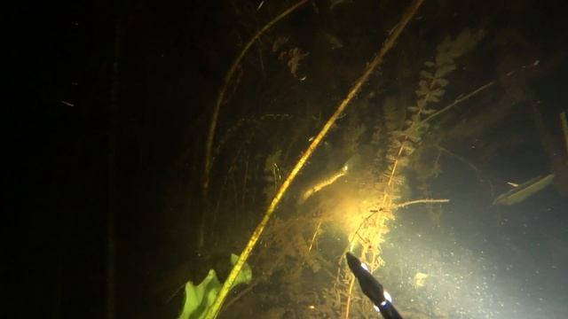 подводная охота осень 2021 сомы,щука обедает,находки под водой смотреть онлайн