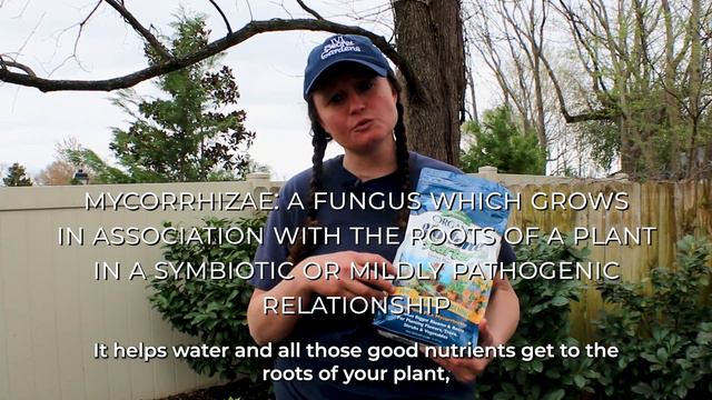 How To Plant Outside in Tennessee! смотреть онлайн