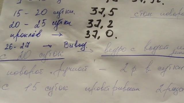 ИНКУБАЦИЯ ПАВЛИНОВ.РЕЖИМ, схема. смотреть онлайн