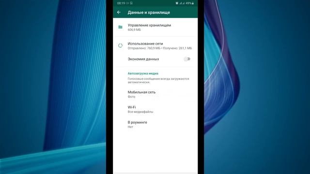 Как скачать видео с ватсапа смотреть онлайн