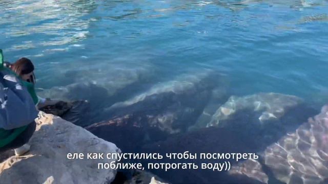 Калеичи - старый город - порт Марина - тур на яхте - как мы оплачивали смотреть онлайн