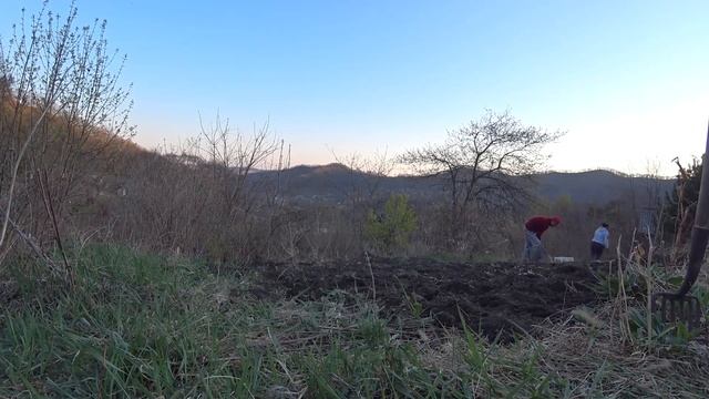 КУПИЛ ЗАБРОШЕННУЮ ДАЧУ ЧАСТЬ 3 ! ПРОЛОГ ! ДАЧА ДО И ПОСЛЕ ! РАСЧИТКА И ПРЕОБРАЖЕНИЕ УЧАСТКА ! смотреть онлайн