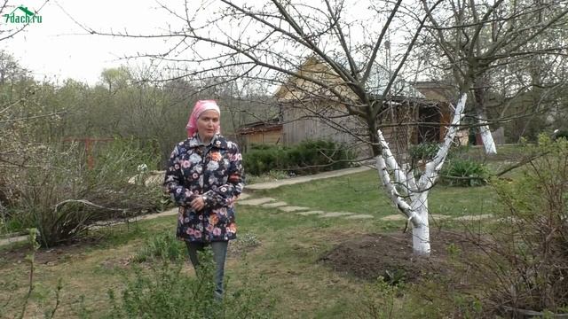 ?? Как запрограммировать сад и огород на урожай - 7 дач смотреть онлайн