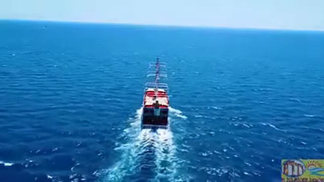 New Boat with Dolphin island blue trip nkeskin tours side turkey смотреть онлайн