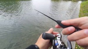 Что может спиннинг для твичинга (и джига). Maximus High Energy Z Jig 22M.