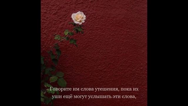 Видео для Instagram: Цените своих друзей! смотреть онлайн