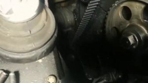 Замена ГРМ Шаран