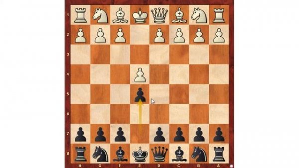 Как правильно начинать шахматную партию. Шахматы для начинающих.