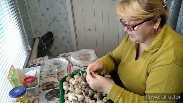 И к нам пришла зима. Спасаю чеснок. смотреть онлайн
