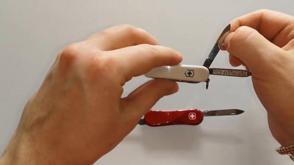 обзор wenger evolution 80 святая простота!