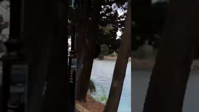 | Walk from Milocer to Sveti Stefan | casadioliveto.com | смотреть онлайн