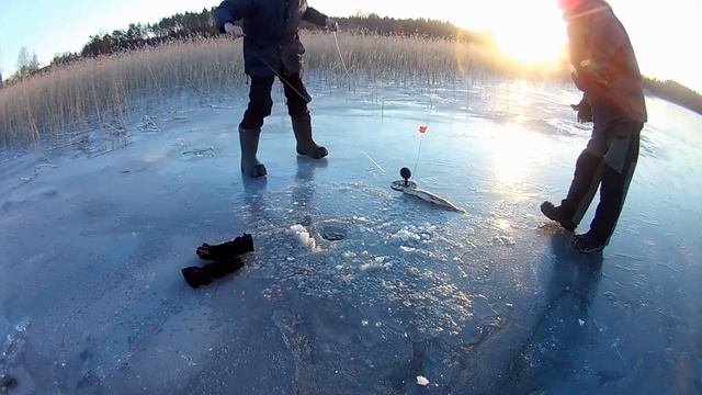 Щука на Вуоксе в январе. смотреть онлайн