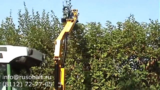 orsi hedge смотреть онлайн