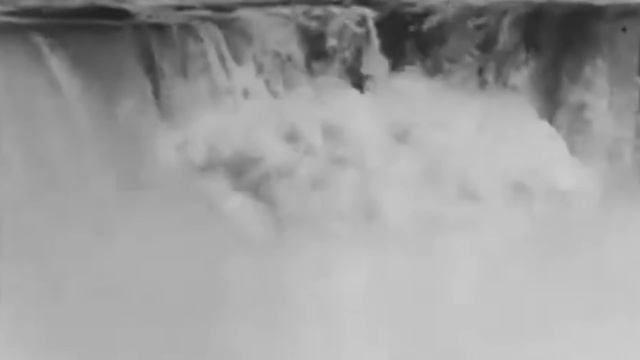 Самые жуткие последние Фотографии людей [Белый кот] смотреть онлайн