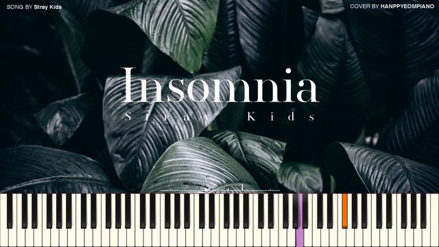 Stray Kids (스트레이 키즈) - Insomnia (불면증) [PIANO COVER] смотреть онлайн