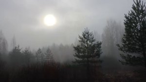 Баба Нина слепая