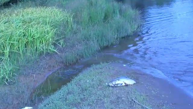 P9083079 смотреть онлайн