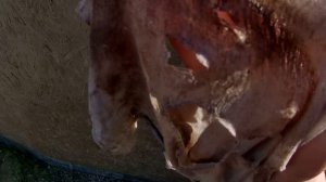 Покраска каркасного гаража резиновой краской на ОСБ