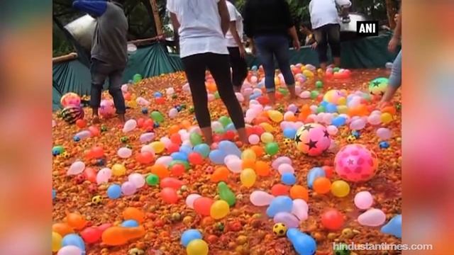 India's first La Tomatina festival смотреть онлайн