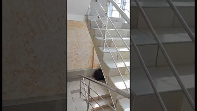 Обзор отеля 