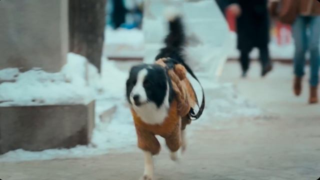 Moj dečko je anđeo - Moy paren Angel Full HD (Srpski prevod) смотреть онлайн
