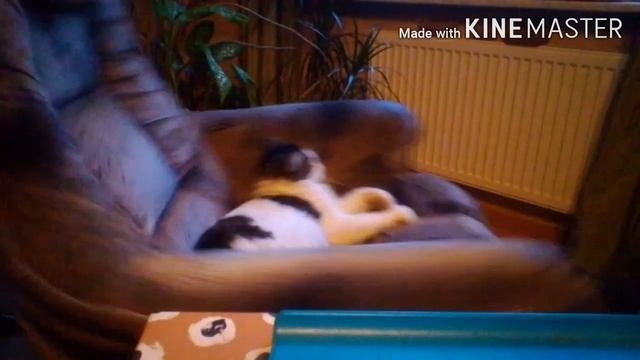 "Как я готовился слетать в космос" смотреть онлайн